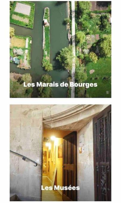 Studio La Reine Blanche - 4Pers - Rdc Apartamento Bourges Exterior foto